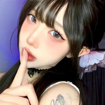 追星星的人第三季